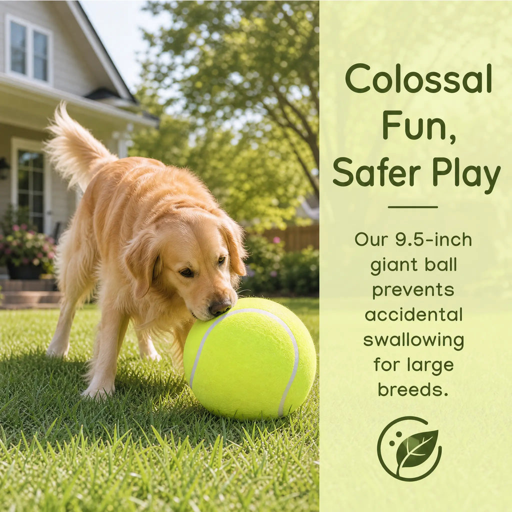 9.5 Inch Giant Tennis Ball for Dogs, Interactive Fetch Toy with Air Pump Included, Durable Outdoor Play Ball for Large & Medium Dogs