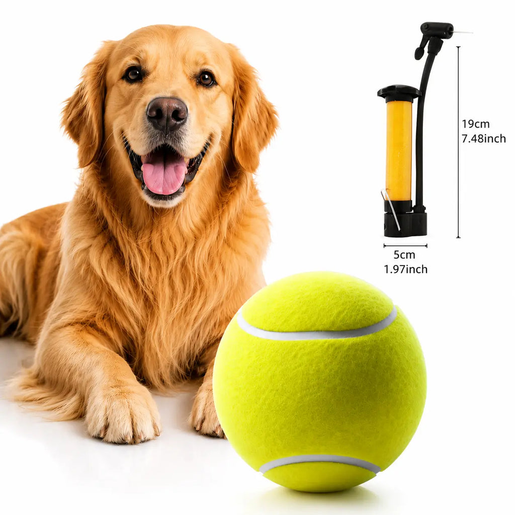 9.5 Inch Giant Tennis Ball for Dogs, Interactive Fetch Toy with Air Pump Included, Durable Outdoor Play Ball for Large & Medium Dogs